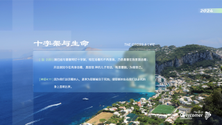 DS8十字架与生命(2024)